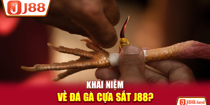 Khái niệm về đá gà cựa sắt J88?