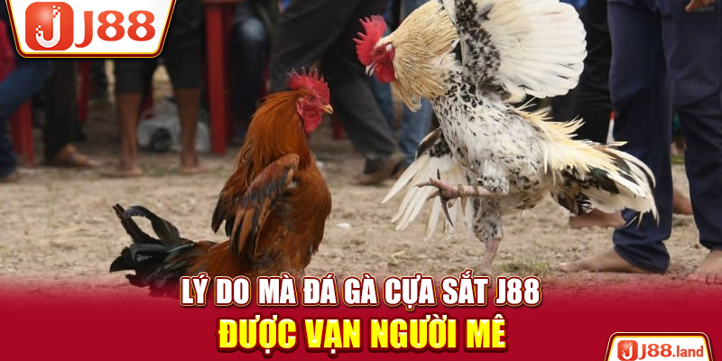 Lý do mà đá gà cựa sắt J88 được vạn người mê