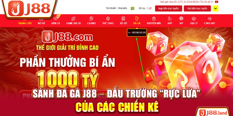 Sảnh Đá Gà J88 – Đấu Trường “Rực Lửa” Của Các Chiến Kê